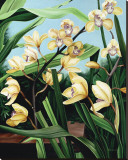 Orchidées jaunes Reproduction transférée sur toile : par Pamela Jablonski