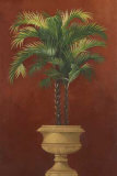Potted Palm Red IV Posters by Welby 
