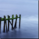 Old Pier III Stretched Canvas Print by Shane Settle