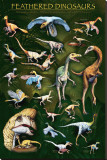 Feathered Dinosaurs I Stretched Canvas Print Feathered Dinosaurs I Stretched Canvas Print
