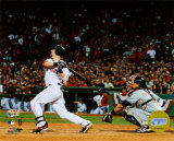 Dustin Pedroia Photo