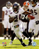 Ed Reed Photo