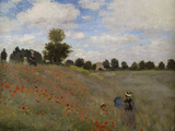 Poppies, c.1873 Giclee Print by Claude Monet
