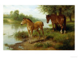 Mare and Her Foal Giclee-trykk av Basil Bradley Mare and Her Foal Giclee-trykk av Basil Bradley