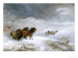 Welsh Ponies in the Snow Giclee Print by James Howie Carse