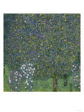 Rose Bushes Under Trees, c.1905 Reproduction procédé giclée par Gustav Klimt