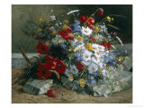 Daisies, Cornflowers Anf Poppies reproduction procédé giclée par Eugene Henri Cauchois