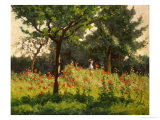 The Poppy Field reproduction procédé giclée par Alphonse Asselbergs