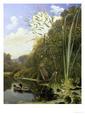Tranquillity Giclee Print by Nilaus Fristrup