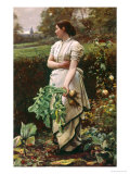 Picking Turnips Giclee Print by Robert Crawford