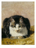 Pampered Pet Giclee Print by Henriette Ronner Knip