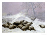 Winter's Day, Sunset, c.1881 Giclee Print by Thomas Sidney Cooper