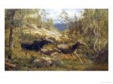 Family of Moose Giclee Print by Carl-henrik Bogh