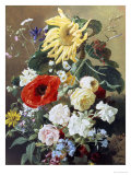 Rich Still Life with Sunflower and Roses Giclee Print by C.f. Hurten