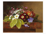 Bouquet of Apple and Cherry Blossoms, and Primula reproduction procédé giclée par Johan Laurentz Jensen