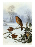 Christmas Robin and Friends Giclee-trykk av Harry Bright Christmas Robin and Friends Giclee-trykk av Harry Bright
