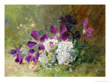 Clematis and Honeysuckle reproduction procédé giclée par Albert Tibulle de Furcy Lavault