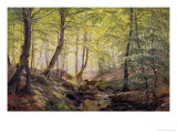 Forest Glade, Springtime Giclee-vedos tekijänä Johannes Boesen Forest Glade, Springtime Giclee-vedos tekijänä Johannes Boesen