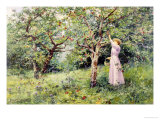 In The Orchard Lámina giclée por Walter Boodle In The Orchard Lámina giclée por Walter Boodle