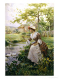 Feeding the Ducks Giclee Print by Alfred Augustus Glendenning