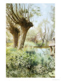 Willows on the Calm Giclee Print by Charles Butler