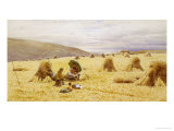 In South Devon Giclee Print by Thomas J. Lloyd