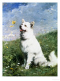 Intrigue Giclee Print by Julius Adams
