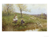 Picking Primroses Giclee Print by Thomas J. Lloyd