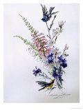 Study of Heather Cornflower and Blossom Giclee Print by Madeleine Lemaire