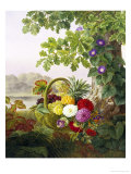 Dahlias, Asters and Morning Glory Reproduction procédé giclée par Johan Laurentz Jensen
