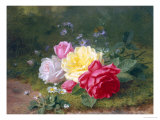 Daisies and Roses Giclee Print by Jules Medard