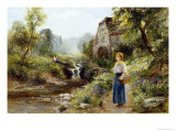 Bluebells Giclee Print by Ernest Walbourn