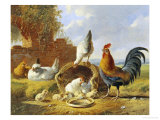 Spring Chickens Lámina giclée por Albertus Verhosen Spring Chickens Lámina giclée por Albertus Verhosen
