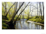 Árbol en soledad Lámina giclée por Christian Zacho Árbol en soledad Lámina giclée por Christian Zacho