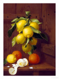 Still Life of Lemons and Oranges Giclee Print by A. Menasque