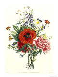 Bouquet of Foxglove, Poppy and Peonie Giclee Print by Jean Louis Prevost