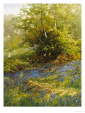 Nature's Carpet Reproduction procédé giclée par John Noel