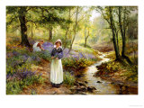 The Bluebell Glade Giclee Print by Ernest Walbourn
