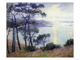 Pine Trees at the Seashore reproduction procédé giclée par Paul Madeline