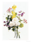 Bouquet of Mixed Flowers reproduction procédé giclée par Jean Louis Prevost