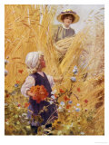 The Poppy Field Giclee Print by Percy Tarrant