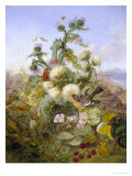 Nature's Glory Stampa giclée di John Wainwright
