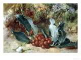Christmas Holly Giclee Print by Jabez Bligh