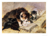 Les Quatre Chatons Giclee Print by Henriette Ronner Knip