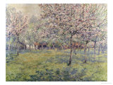 The Orchard at Blossom Time Giclee-vedos tekijänä Juliette Wytsman