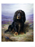 Spaniel in the Highlands Giclee Print by Lilian Cheviot