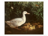 New Brood Giclee Print by Edward Neale