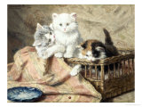 Playmates Giclee Print by Henriette Ronner-Knip