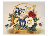Pansies in a Basket Giclée-Druck