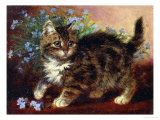 Myosotis Reproduction procédé giclée par Wilson Hepple